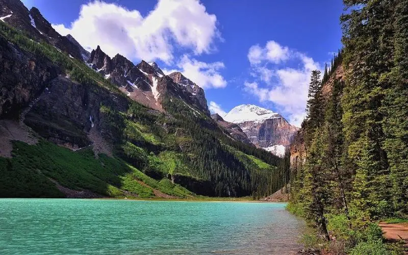 工业高端
